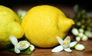 VITAMIN C – EIN WÄCHTER DER GESUNDHEIT